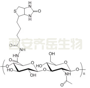 生物素修饰透明质酸  