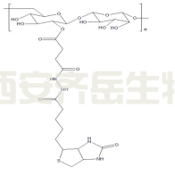 生物素修饰的葡聚糖  
