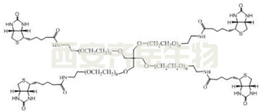 4-Arm PEG-Biotin