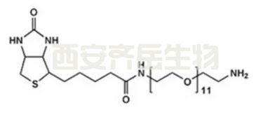 生物素PEG氨基  
