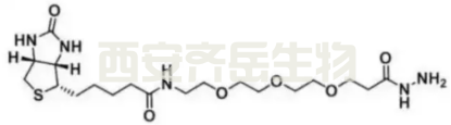 生物素-PEG3-酰肼  