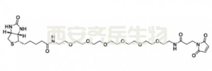 生物素六聚乙二醇马 来酰亚胺  