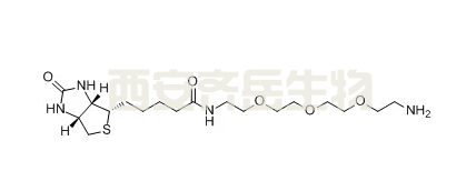 生物素-PEG3-胺  