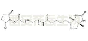 Biotin-PEG-NHS