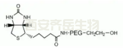  生物素PEG羟基  