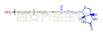 生物素聚乙二醇氨基（Biotin-PEG-NH2​）