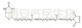 MAL-PEG-Biotin    生物素聚乙二醇马来酰亚胺