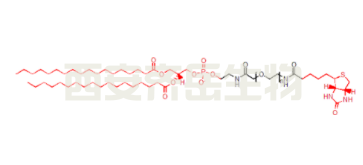 DSPE-PEG-Biotin  二硬脂酰基磷脂酰-聚乙二醇-生物素