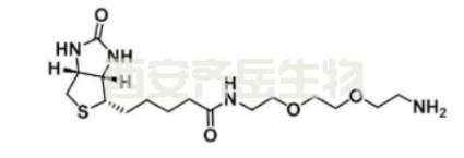 cas:138529-46-1   Biotin-PEG2-amine	生物素-二乙二醇-氨基