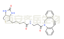 二苯并环辛炔-生物素  
