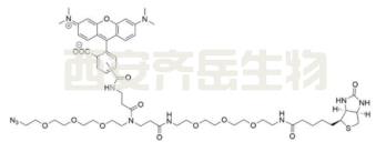 TAMRA-Biotin-N3  