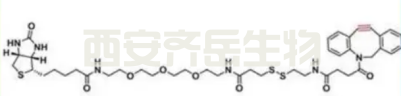 生物素-三聚乙二醇-二硫-二苯并环辛炔