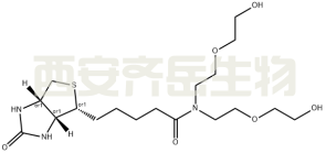 N-(生物素)-N-双(PEG1-醇)  CAS:2100306-75-8