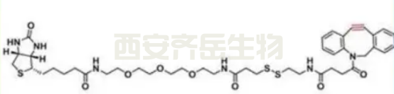  DBCO-S-S-PEG3-biotin  生物素-三聚乙二醇-二硫键-点击化学 