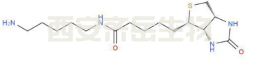CAS：115416-38-1  5-(Biotinamido)pentylamine  5-(氨基维生素)戊胺