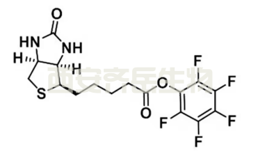 Biotin-PFP ester  CAS号：120550-35-8