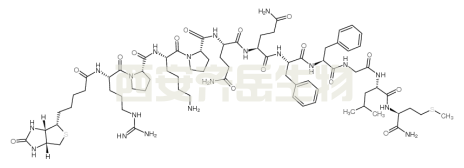 CAS号: 87468-58-4 生物素修饰肽：Biotin-SUBSTANCE P