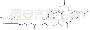 DOTA-生物素-肌氨酸	  
