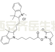 Cy3 NHS ester  