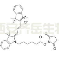 	Cy3 NHS ester