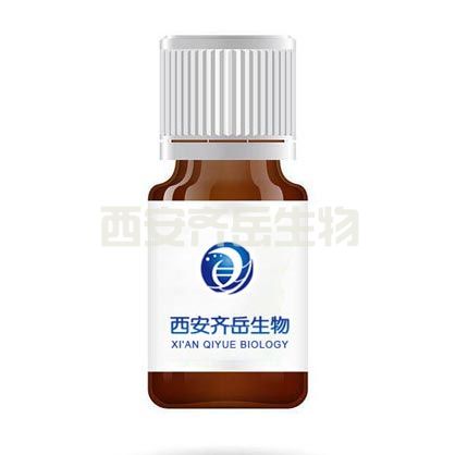 PCL-PEOz-COOH 聚已内酯-PEOz-羧基